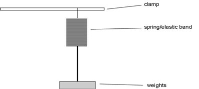 Hooke's Law experiment.jpg